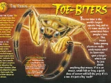 Toe-Biters