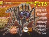 Dance Flies