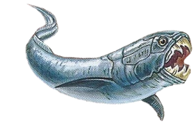Stethacanthus Back Image