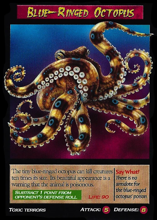Blue-Ringed Octopus | Weird n' Wild Creatures Wiki | Fandom