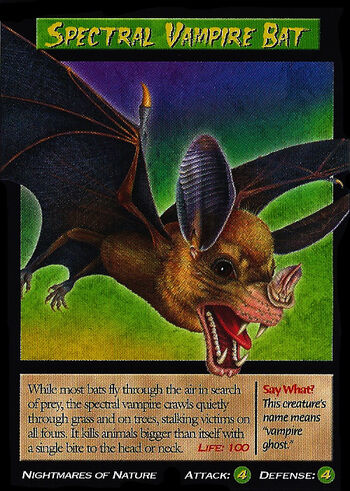 Spectral Vampire Bat