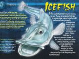 Icefish