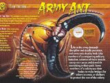 Army Ant