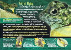 Flying Lizard | Weird n' Wild Creatures Wiki | Fandom
