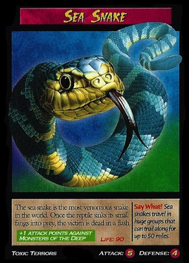 Sea Snake