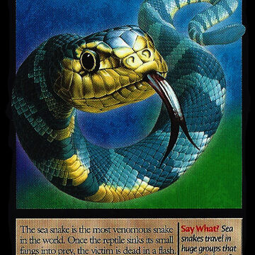 sea snake weird n wild creatures