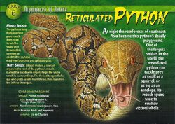 Reticulated Python front