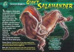 Giant Salamander front