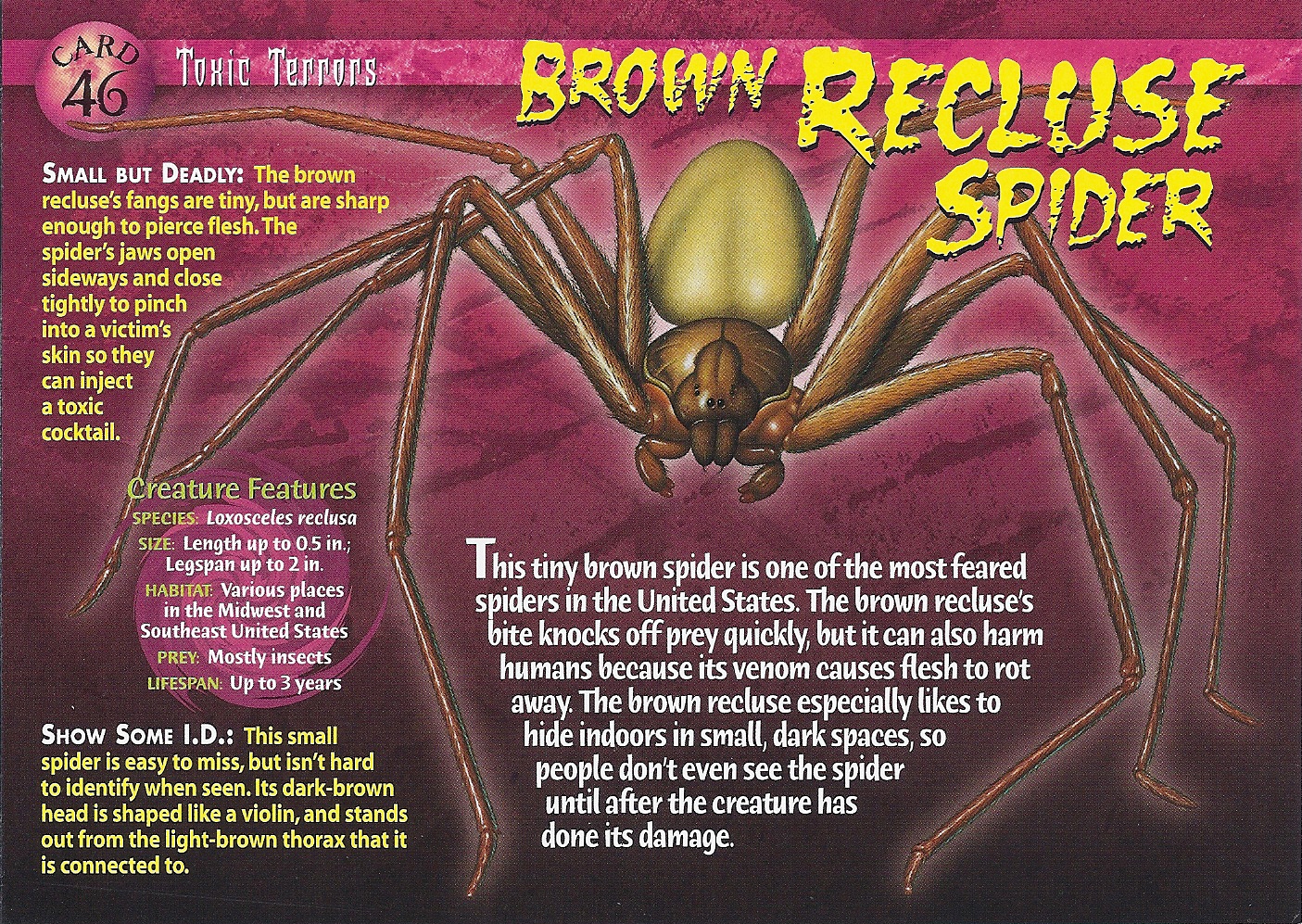 torchlight 2 wiki brown recluse