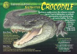 小物 WILD SWANS CROCODILE / NORMA(S) HOLZWALD Crocodile, Small – Noah's Toys