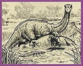 Weird 'N' Wild Mokele Mbembe : r/Cryptozoology