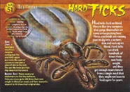 Hard Ticks front.jpg (1.36 MB) Hard Ticks