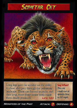 Scimitar Cat