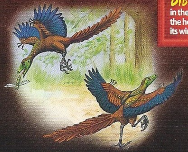Archaeopteryx | King Kong Wiki | Fandom