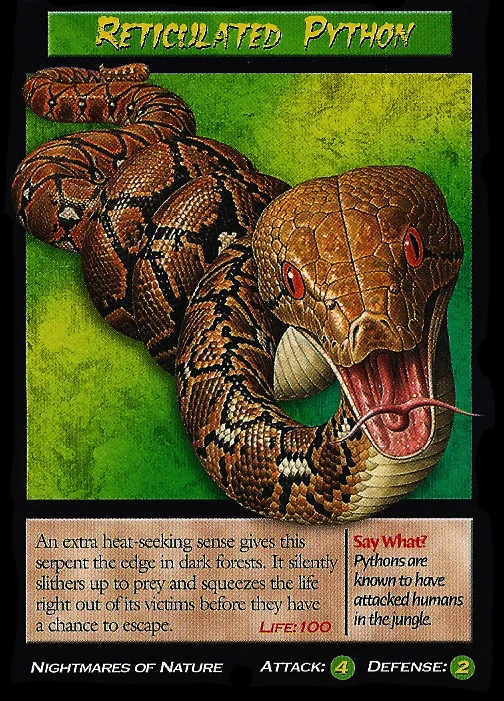 Reticulated Python | Weird n' Wild Creatures Wiki | Fandom
