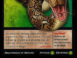 Reticulated Python
