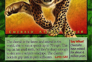 Jaguar, Weird n' Wild Creatures Wiki