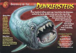 Dunkleosteus front