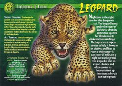 Leopard | Weird n' Wild Creatures Wiki | Fandom