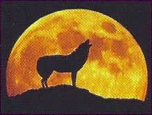 Werewolf Back Image