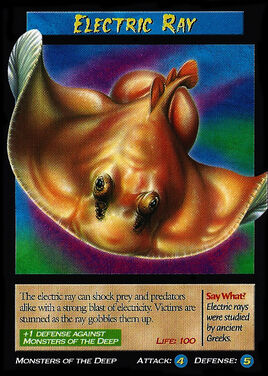Electric Ray