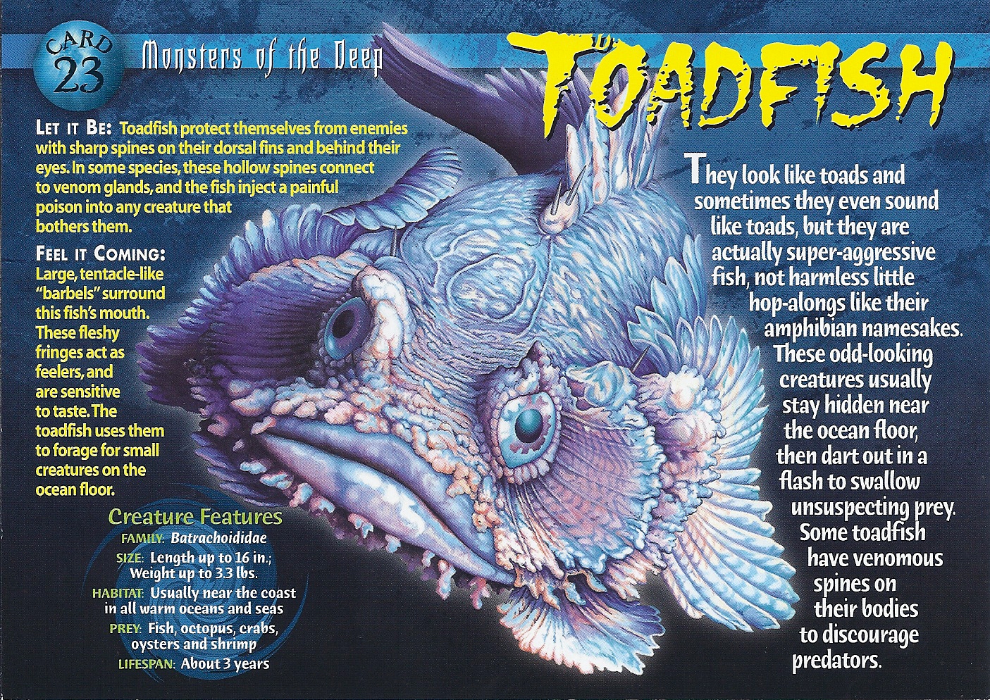 Toadfish, Weird n' Wild Creatures Wiki