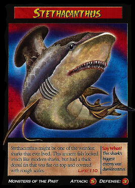 Stethacanthus