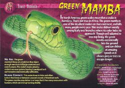 Green Mamba front