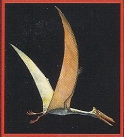 Quetzalcoatlus Back Image