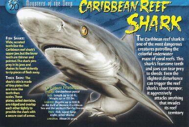 Megamouth Shark, Weird n' Wild Creatures Wiki