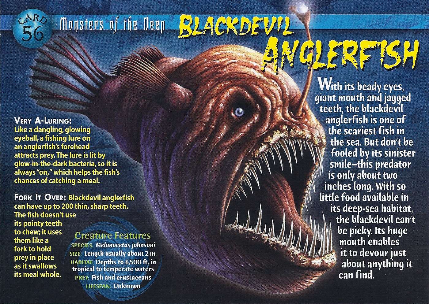 Blackdevil Anglerfish, Weird n' Wild Creatures Wiki