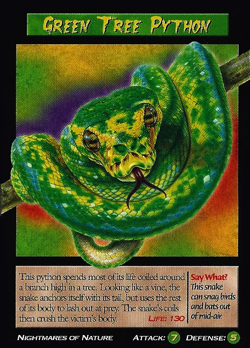 Green Tree Python | Weird n' Wild Creatures Wiki | Fandom