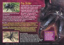 Sydney funnel-web spider - Wikipedia