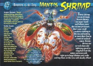 Mantis Shrimp front.jpg (1.45 MB) Mantis Shrimp