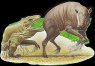 Komodo Dragon 2.jpg (60 KB)