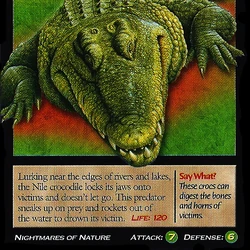 Category:Crocodilians | Weird n' Wild Creatures Wiki | Fandom