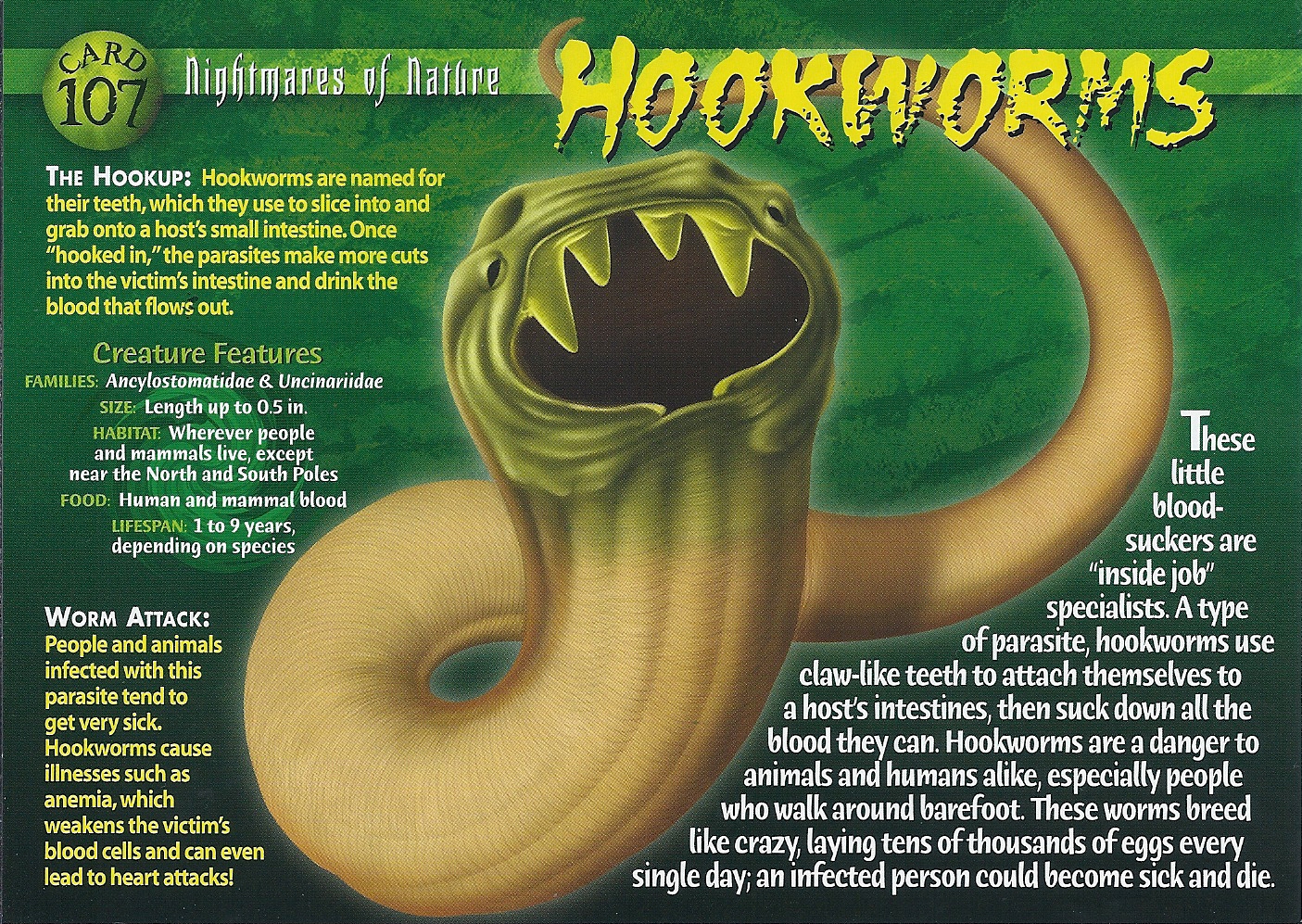 Hookworms, Weird n' Wild Creatures Wiki