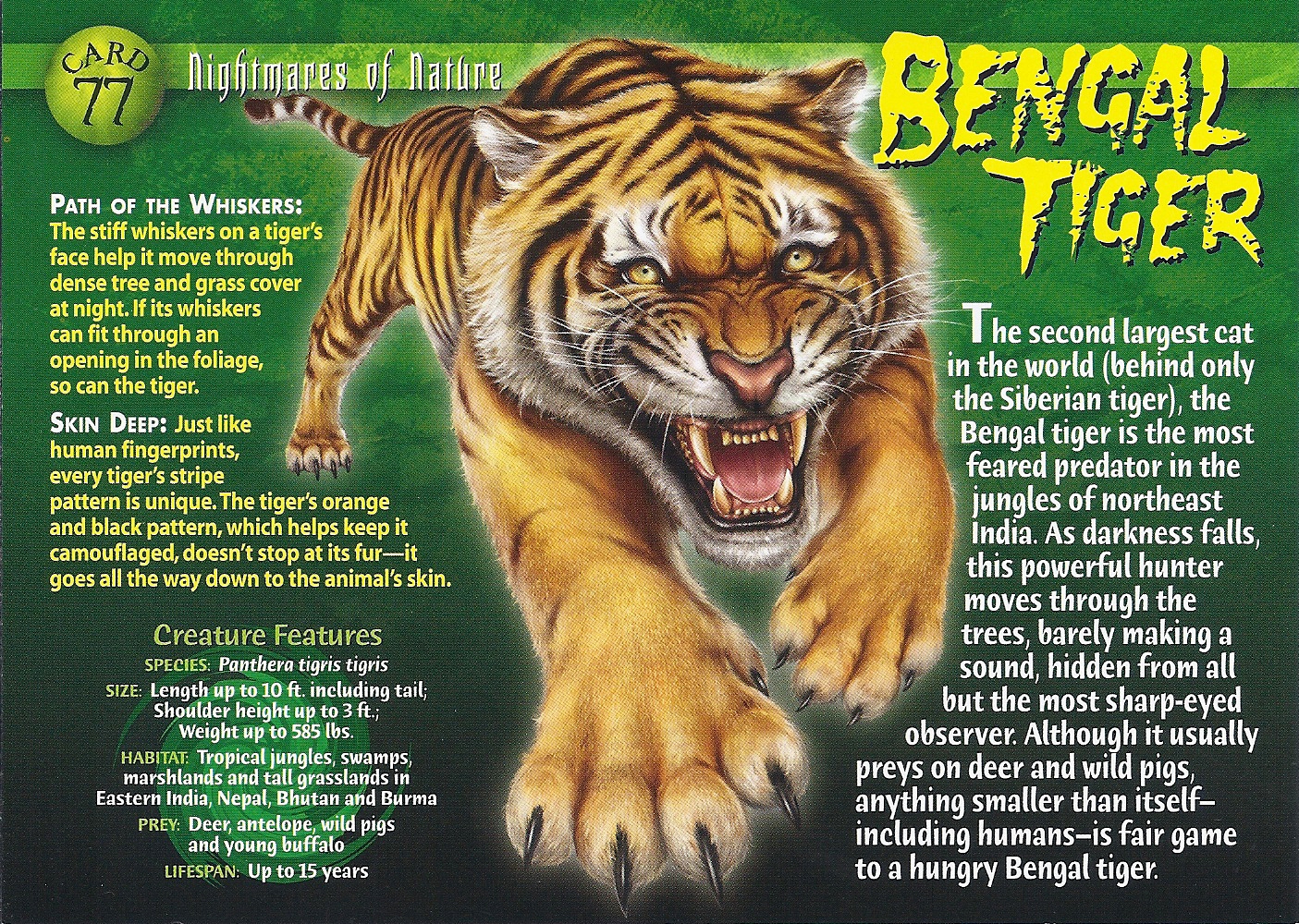 Bengal tiger(Maneater), Fear world Wiki