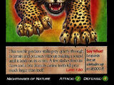 Leopard