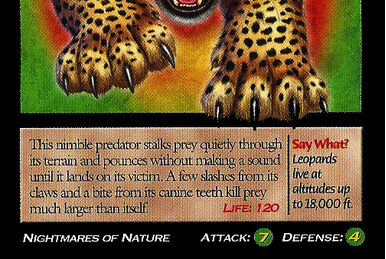 Jaguar, Weird n' Wild Creatures Wiki