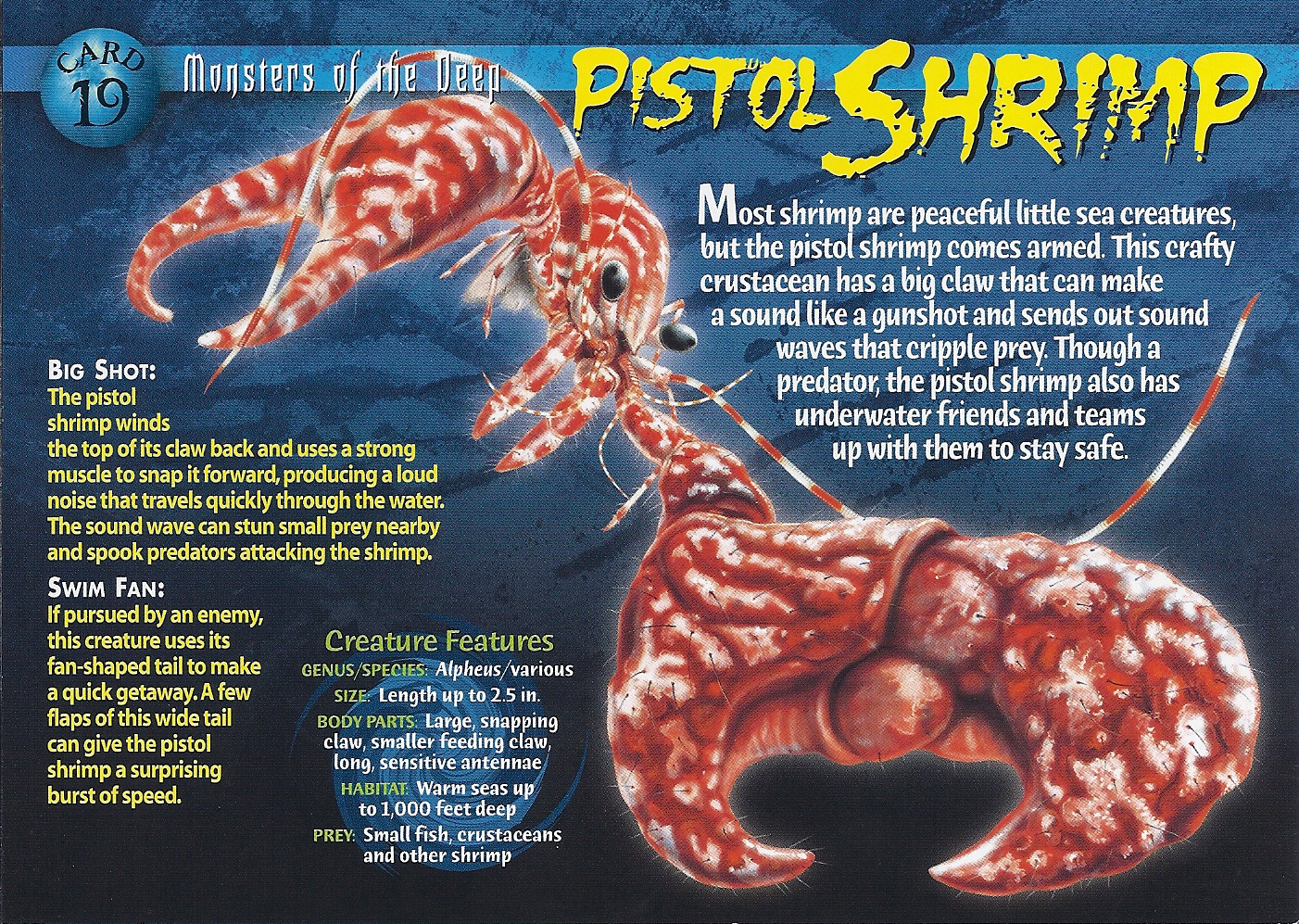 netflix creature report pistol shrimp