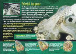 Opalescent Squid, Weird n' Wild Creatures Wiki