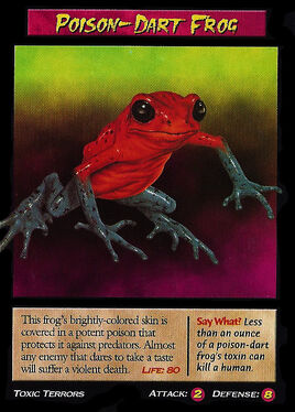 Poison-Dart Frog