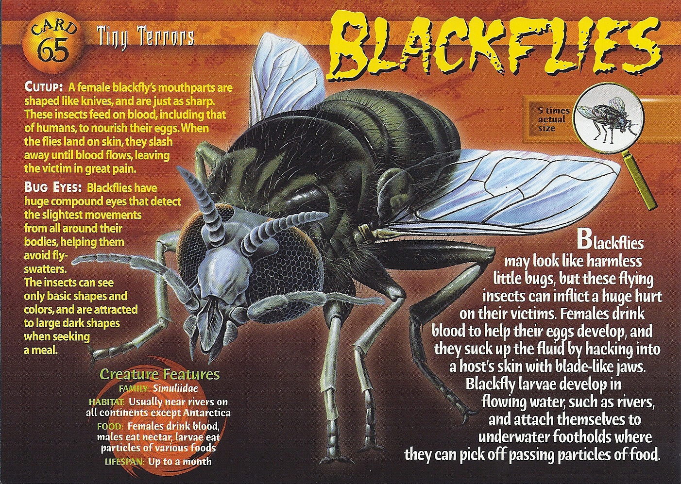 Flesh Flies, Weird n' Wild Creatures Wiki