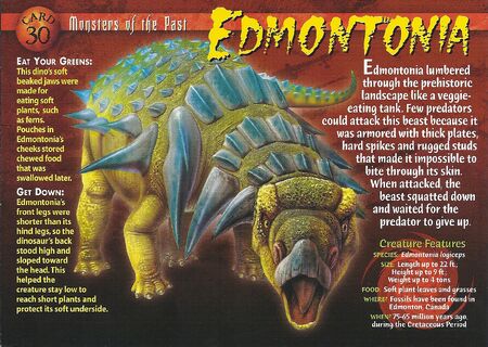 Edmontonia front