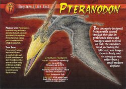 Pteranodon front