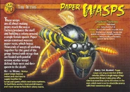 Paper Wasps front.jpg (1.38 MB) Paper Wasps