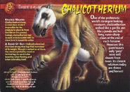 Chalicotherium front.jpg (1.34 MB) Chalicotherium
