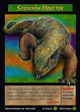 mtg cards with books in the art Savannah Proxy Card – Tough Times main image 0