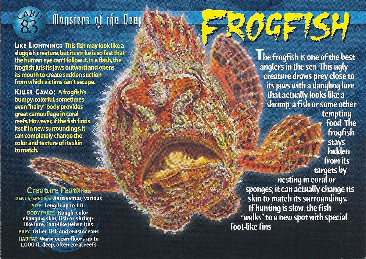 Frogfish, Weird n' Wild Creatures Wiki